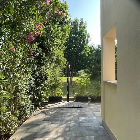 Mirakul * لوبار